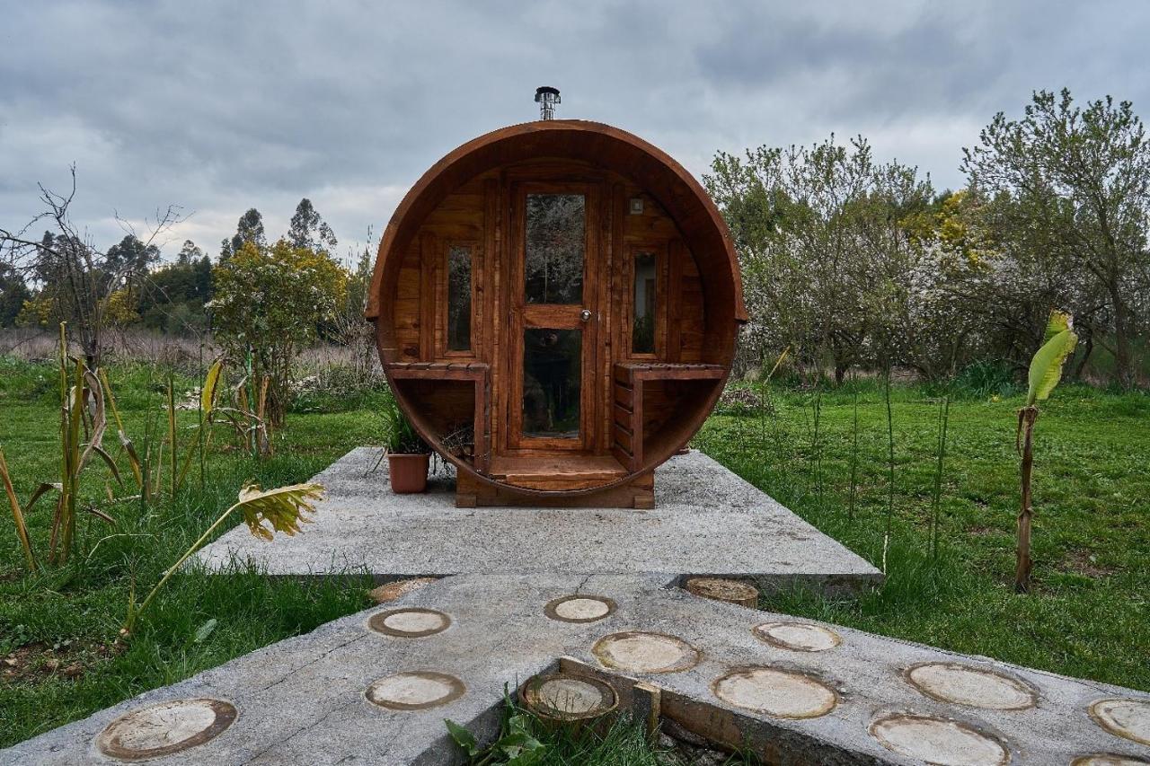 La Casa De Adobe Natural Y Mas Bulnes 외부 사진
