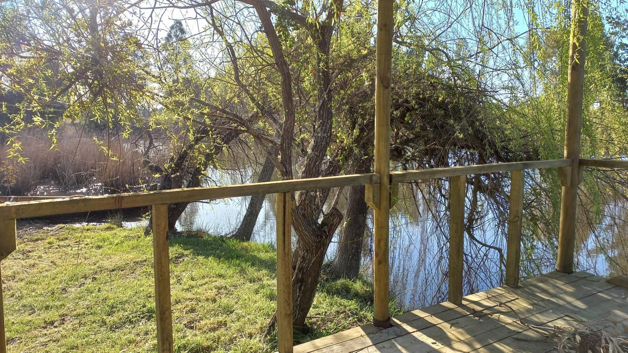 La Casa De Adobe Natural Y Mas Bulnes 외부 사진