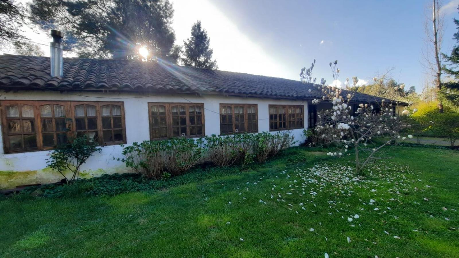 La Casa De Adobe Natural Y Mas Bulnes 외부 사진