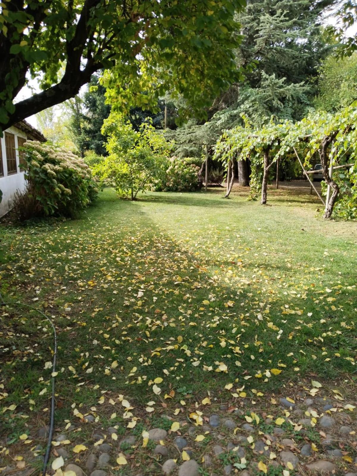 La Casa De Adobe Natural Y Mas Bulnes 외부 사진