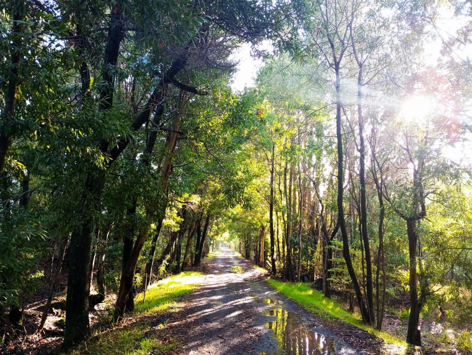 La Casa De Adobe Natural Y Mas Bulnes 외부 사진