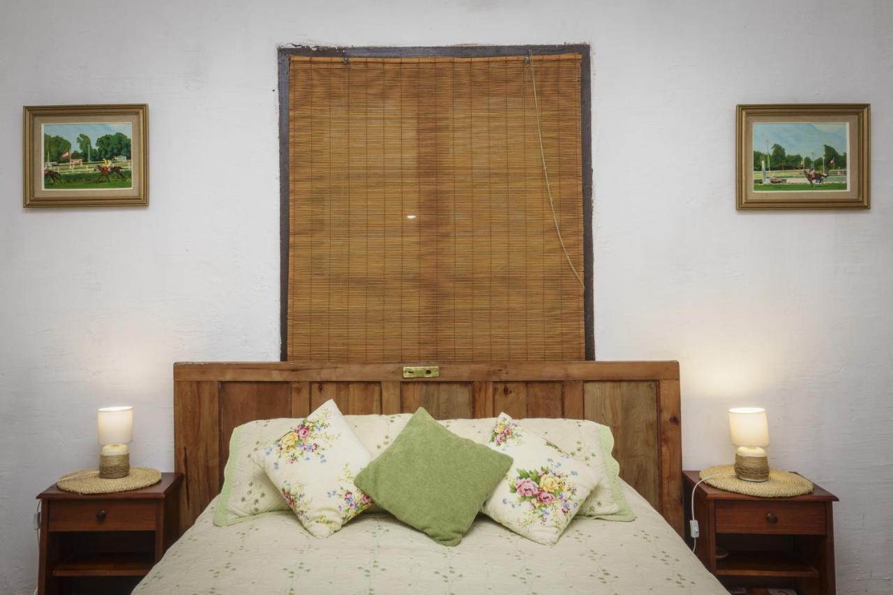 La Casa De Adobe Natural Y Mas Bulnes 외부 사진